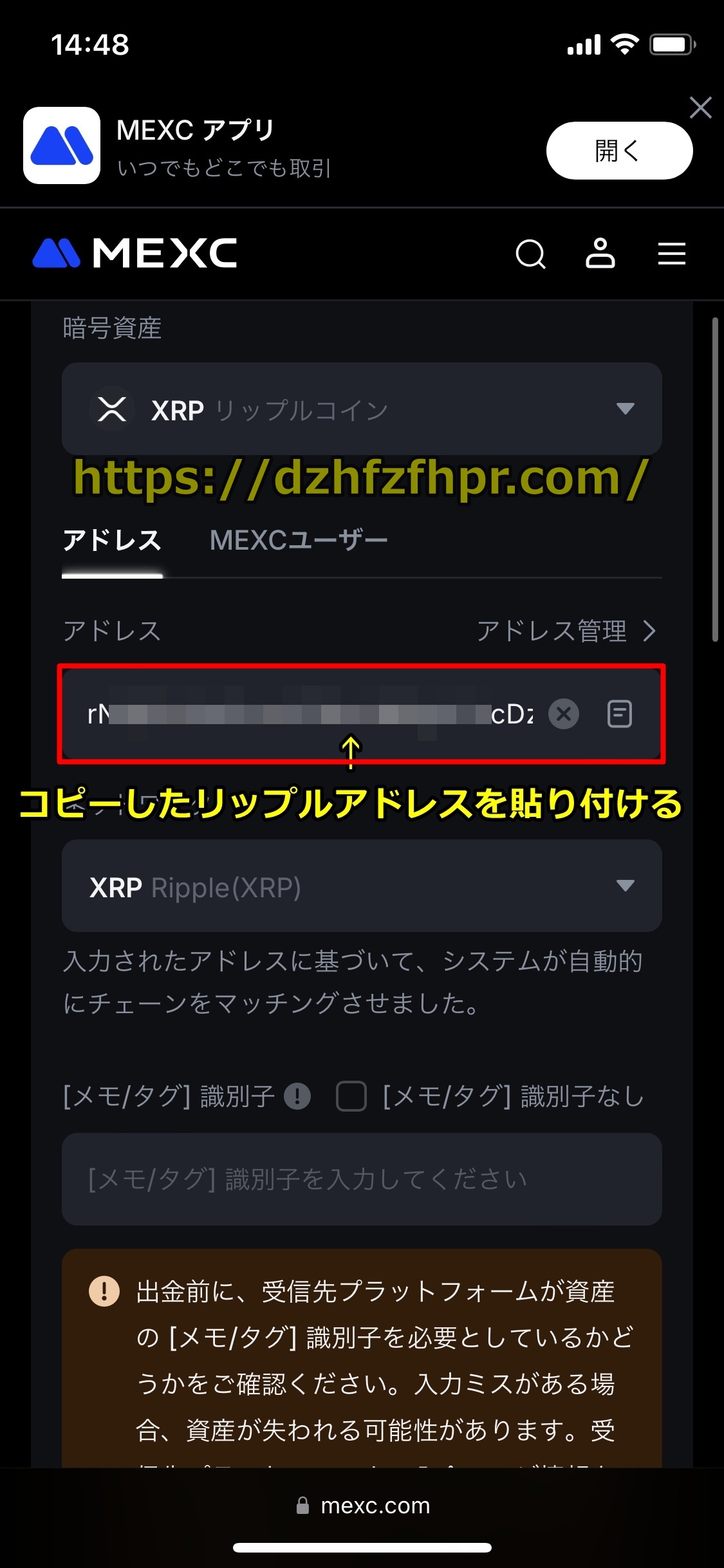 コニベット
