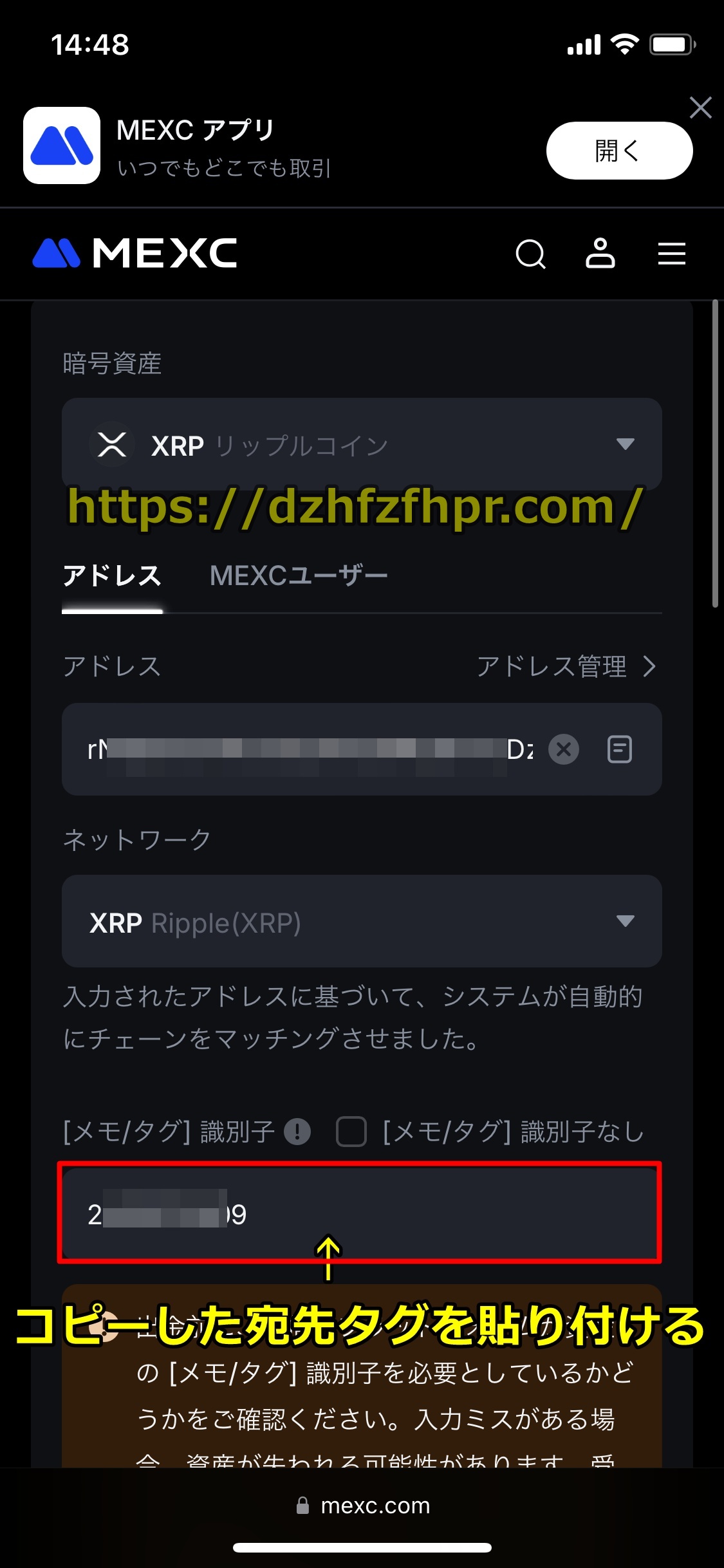 コニベット