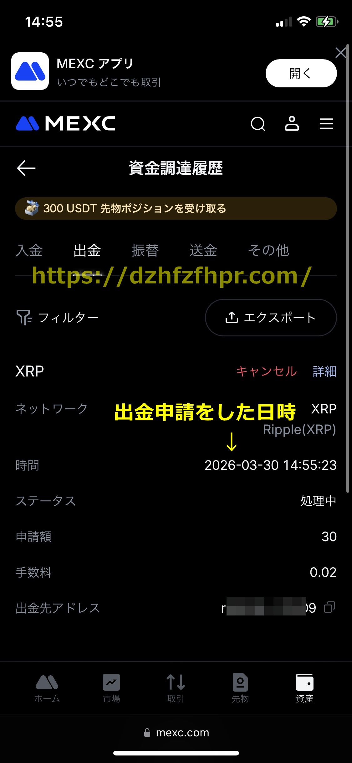 コニベット