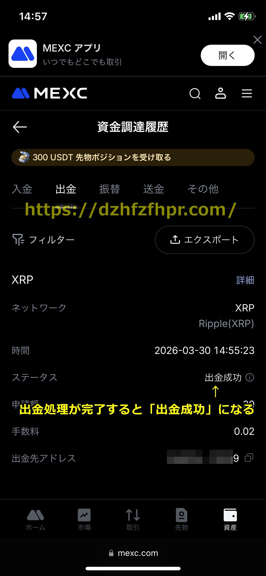 コニベット